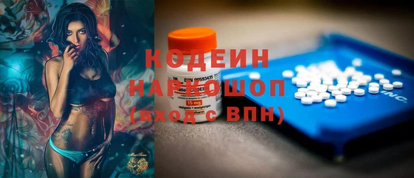 крисы Абаза