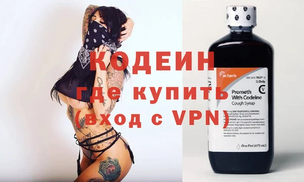 крисы Абаза