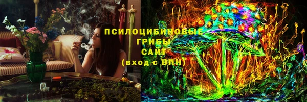 крисы Абаза