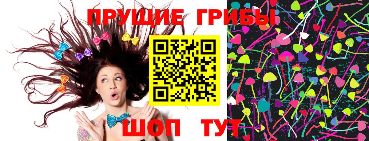 Людиново  Псилоцибиновые грибы Psilocybe  Вход с VPN 