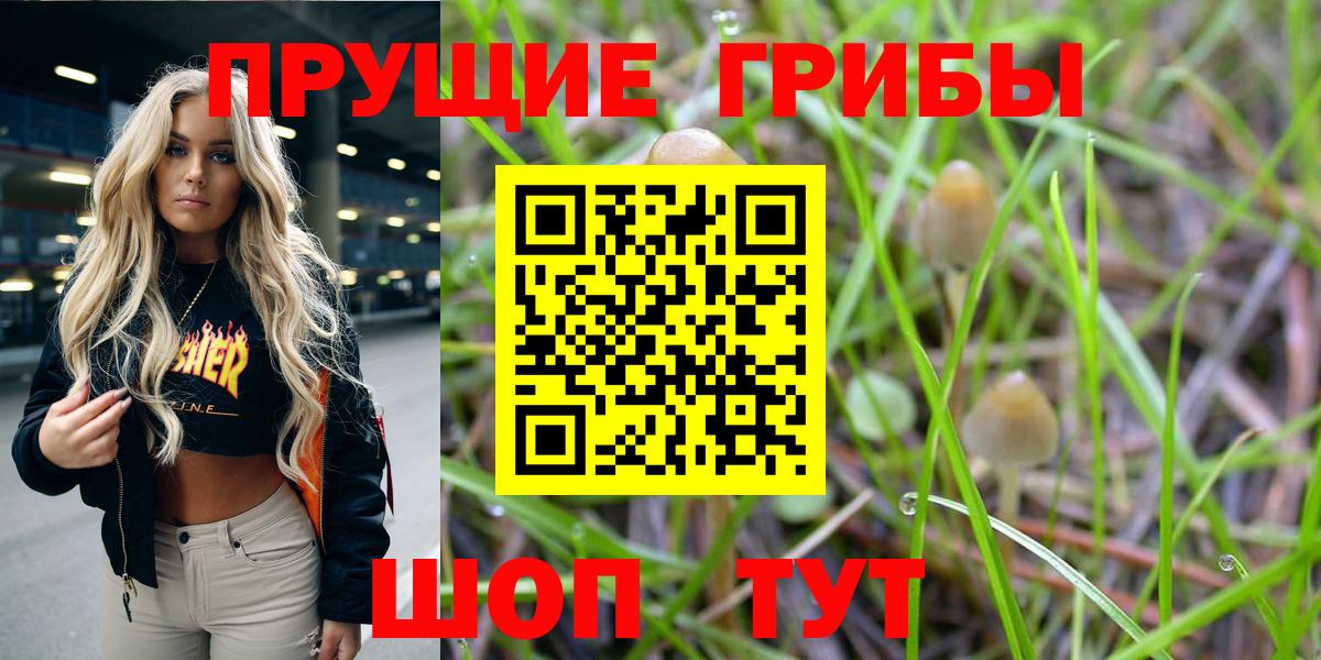 Псилоцибиновые грибы мухоморы Людиново
